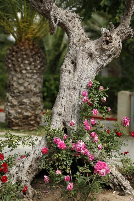 Hotel Mediterranee Thalasso Golf Hammamet Exterior photo